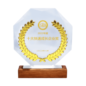 2022 Shenzhen Top 10 Fast-Growing Companies Award